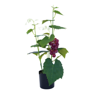Weintraubenpflanze aus Kunststoff/Kunstseide, im Topf, mit roten Weintrauben     Groesse:56cm, Topf: 10x10cm    Farbe:grün/rot