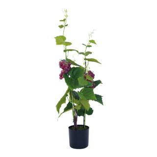 Weintraubenpflanze aus Kunststoff/Kunstseide, im Topf, mit roten Weintrauben     Groesse:81cm, Topf: 12,5x11,5cm    Farbe:grün/rot