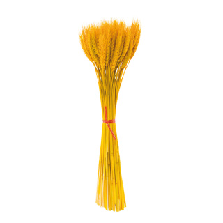 Weizenbündel ca. 100 Halme, aus Naturmaterial, gebleicht     Groesse:50cm    Farbe:gelb