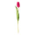 Tulipe sur tige en plastique/soie synthétique, flexible, effet touche réelle     Taille: 36cm, Fleur Ø4cm    Color: rose foncé