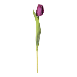 Tulipe sur tige en plastique/soie synthétique, flexible, effet touche réelle     Taille: 36cm, Fleur Ø4cm    Color: violet