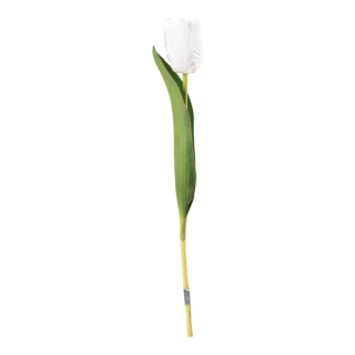 Tulip on stem out of plastic/artificial silk, flexible, real-touch effect     Size: 36cm, Ø4cm blossom    Color: white