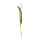 Tulpe am Stiel aus Kunststoff/Kunstseide, biegsam, Real-Touch Effekt     Groesse: 36cm, Ø4cm Blüte    Farbe: weiß