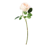 Rose en plastique/soie artificielle, flexible, effet...