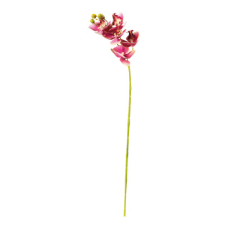 Orchid with 5 flowers & buds, out of artificial silk/plastic, flexible     Size: 71cm, stem: 50cm    Color: pink