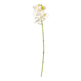 Orchid with 5 flowers & buds, out of artificial silk/plastic, flexible     Size: 71cm, stem: 50cm    Color: white