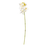 Orchid with 5 flowers & buds, out of artificial...