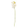 Orchid with 5 flowers & buds, out of artificial silk/plastic, flexible     Size: 71cm, stem: 50cm    Color: white