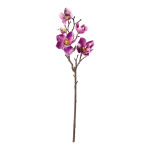 Magnolienzweig mit 6 Blüten & 2 Knospen, aus...