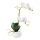 Orchidée en pot en plastique/soie artificielle, pot en céramique     Taille: 48cm, Pot: Ø10cm    Color: blanc