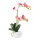 Orchid in pot out of artificial silk/plastic, pot out of ceramic     Size: 48cm, pot: Ø10cm    Color: pink