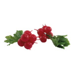 radish bunch 6 pcs - Material: out of plastic - Color:...