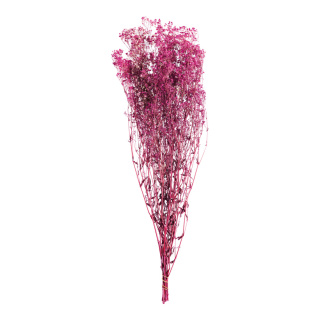 Fagot de fleurs séchées      Taille: 75-80cm, env. 120g    Color: fuchsia