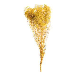 Bundle of dried flowers      Size: 75-80cm, ca. 120g    Color: yellow