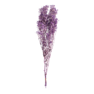 Fagot de fleurs séchées      Taille: 75-80cm, env. 120g    Color: violet