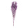 Bundle of dried flowers      Size: 75-80cm, ca. 120g    Color: purple