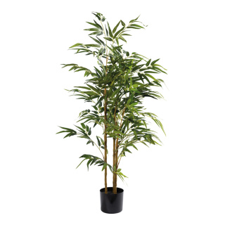 Bambus-Baum 560 Blätter, aus Kunststoff/Kunstseide     Groesse: 120cm, Topf: Ø15cm    Farbe: grün