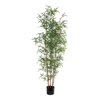 Bambus-Baum 1674 Blätter, aus Kunststoff/Kunstseide     Groesse: 180cm, Topf: Ø17,5cm    Farbe: grün