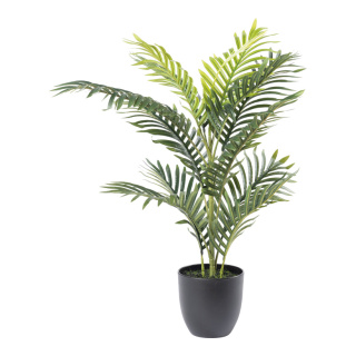 Areca Palme 12 PE Blätter, aus Kunststoff/Kunstseide     Groesse: 75cm, Topf: Ø16cm    Farbe: grün