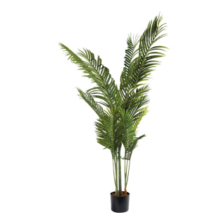 Areca Palme 17 Blätter, aus Kunststoff/Kunstseide     Groesse: 170cm, Topf: Ø15cm    Farbe: grün