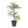 Palmier en pot 10 feuilles PE, en plastique/soie synthétique     Taille: 80cm, pot:Ø21,5cm    Color: vert