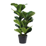 Fiddle fig tree 26 leaves - Material: out of...