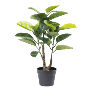 Ficus gommier 24 feuilles, en plastique/soie synthétique     Taille: 70cm, pot:Ø16cm    Color: vert