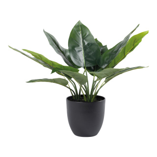 Aureum Bonsai in pot 25 leaves, out of plastic/artificial silk     Size: 70cm, pot: Ø18cm    Color: green
