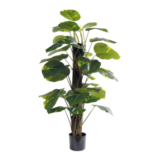 Dieffenbachia Pflanze 33 Blätter, aus Kunststoff/Kunstseide     Groesse: 115cm, Topf: Ø14cm    Farbe: grün/braun