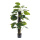 Dieffenbachia 33 leaves, out of plastic/artificial silk     Size: 115cm, pot: Ø14cm    Color: green/brown