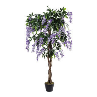 Wisteria tree in pot ca. 840 leaves, out of artificial silk/plastic/wood     Size: 150cm, high 13cm, Ø 17cm    Color: purple/green