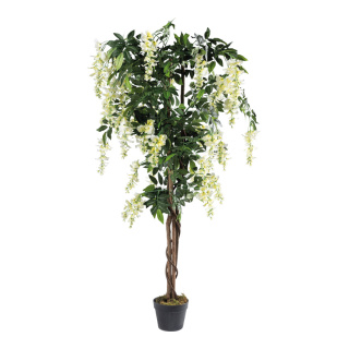 Goldregenbaum im Topf ca. 840 Blätter, aus Kunstseide/Kunststoff/Holz     Groesse: 150cm, Höhe 13cm, Ø 17cm    Farbe: weiß/grün