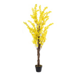 Arbre forsythia dans le pot en plastique/soie...