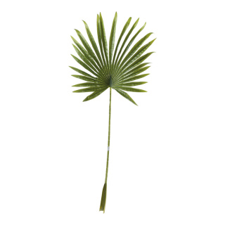 Feuille de palmier en éventail en plastique     Taille: 100x40cm, tige: 62cm    Color: vert