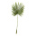 Feuille de palmier en éventail en plastique     Taille: 100x40cm, tige: 62cm    Color: vert