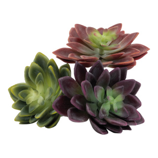 Succulents 3 in set, out of plastic, assorted     Size: 12x10cm    Color: green/red