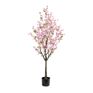 Kirschblütenbaum im Topf 304 Blüten, aus Kunststoff/Kunstseide     Groesse: 150cm, Topf: Ø16cm    Farbe: pink/braun
