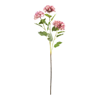 Hortensia 3-fois, en plastique/soie synthétique, flexible     Taille: 66cm, tige: 34cm    Color: rose
