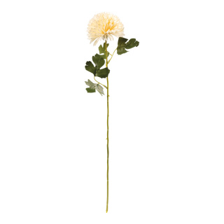 Chrysanthème sur tige en plastique/soie synthétique, flexible     Taille: 55cm, Ø10cm, tige: 35cm    Color: champagne