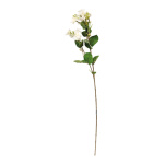 Fleur de jasmin sur tige en plastique/soie...