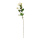Jasminblüte am Stiel aus Kunstseide/Kunststoff, biegsam     Groesse: 60cm, Ø3,5cm    Farbe: weiß