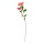 Jasminblüte am Stiel aus Kunstseide/Kunststoff, biegsam     Groesse: 60cm, Ø3,5cm    Farbe: pink