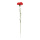 Carnation on stem out of artificial silk/ plastic, flexible     Size: 50cm, Ø8cm    Color: red