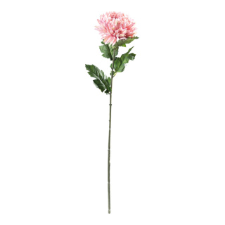 Chrysanthème sur tige en plastique/soie synthétique, flexible     Taille: 77cm, tige: 46cm    Color: rose