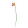 Strelitzia en plastique, flexible     Taille: 80cm, tige: 62cm    Color: multicolor