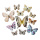Papillons 3D 12-fois, en plastique, en sachet, avec aimant, points de colle inclus     Taille: 6-12cm    Color: blanc/brun