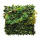 Blätterpaneel aus Kunststoff, mit Blumen, verschiedenen Blattpflanzen     Groesse: 50x50cm    Farbe: grün