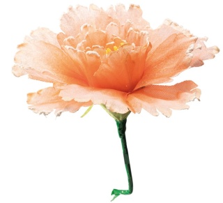 Blossom out of fabric, with short stem, flexible     Size: Ø40cm, stem:18cm    Color: peach-coloured