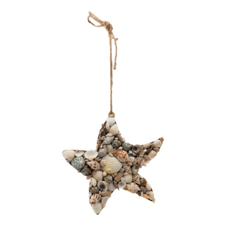 Sea star out of MDF, with real shells     Size: 20x2cm, hanger ca. 23cm    Color: natural-coloured