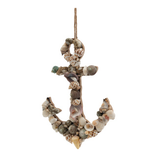 Anchor out of MDF, with real shells     Size: 25x18x3,5cm, hanger ca. 23cm    Color: natural-coloured